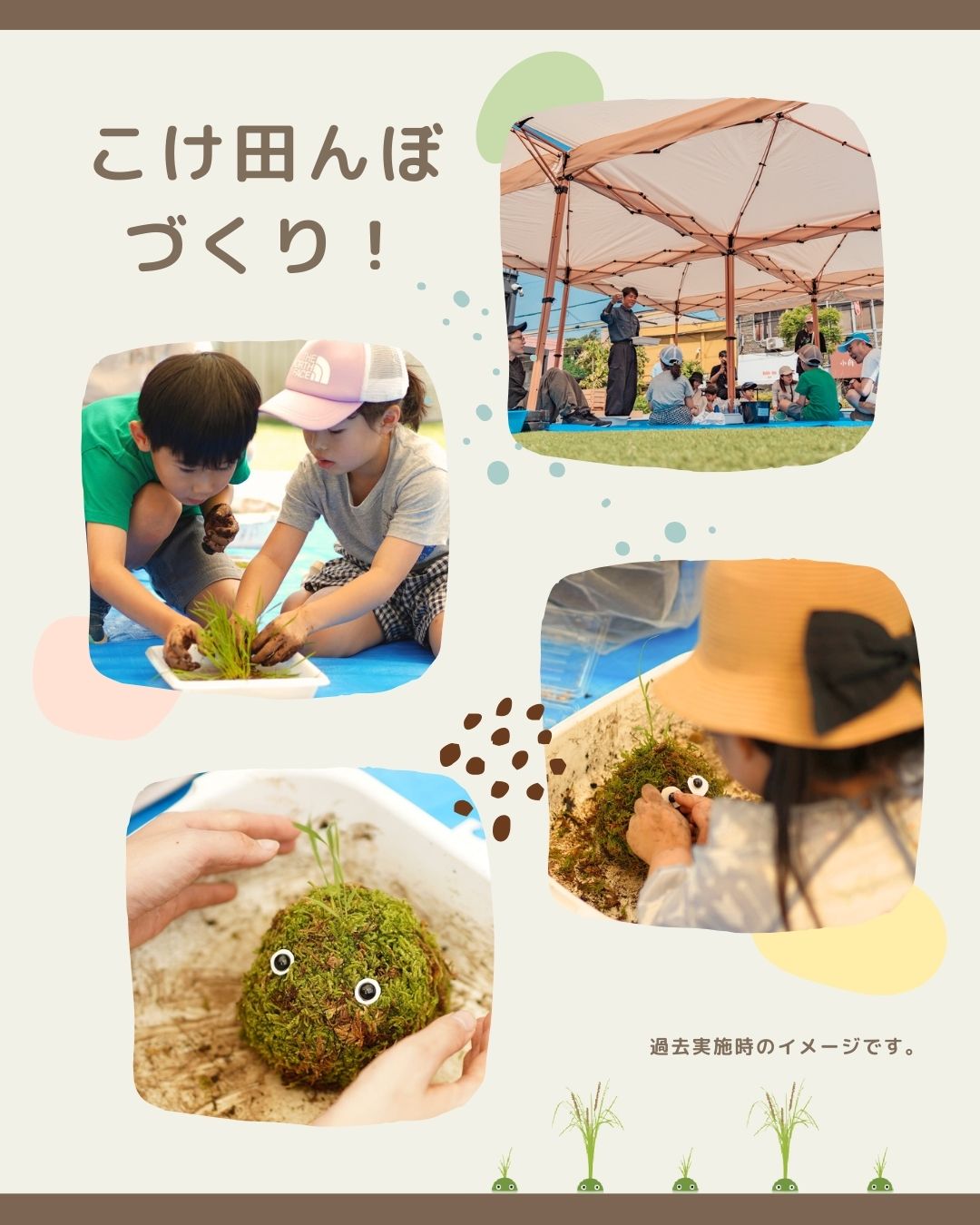 こけ田んぼづくり